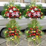 ũʻԤ